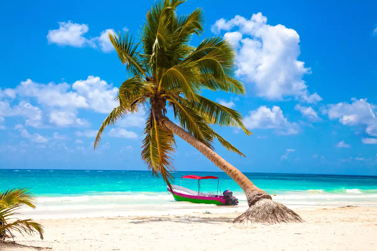 Punta cana